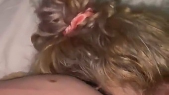 Disculpa Mi Amor, Permíteme Darle Placer Con Sexo Oral